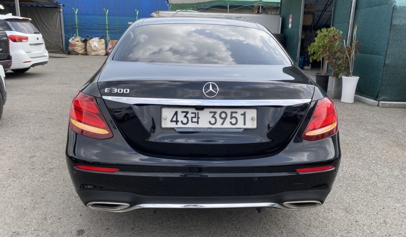 2019 Mercedes-Benz E300 full